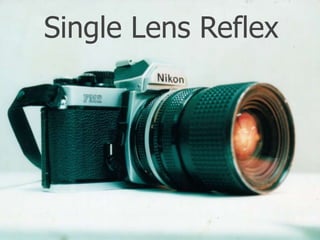 Single Lens Reflex
 