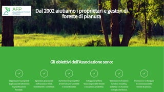 LE FORESTE
DELL’ASSOCIAZIONE
29 soci
163 foreste
2.300 ettari
1.750.000 alberi
in 3 regioni FVG, Veneto, Lombardia
2 soci ...