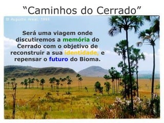 “Caminhos do Cerrado”
Será uma viagem onde
discutiremos a memória do
Cerrado com o objetivo de
reconstruir a sua identidade, e
repensar o futuro do Bioma.
 
