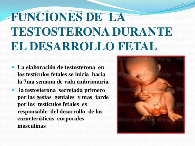 Una pequeña muchacha el miembro enorme i