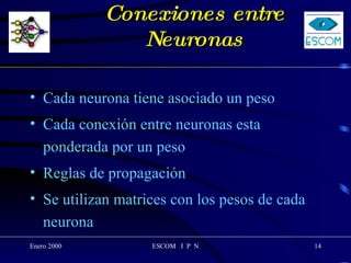 Conexiones entre Neuronas Cada neurona tiene asociado un peso Cada conexión entre neuronas esta ponderada por un peso Reglas de propagación Se utilizan matrices con los pesos de cada neurona 
