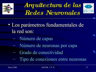 Arquitectura de las Redes Neuronales Los parámetros fundamentales de la red son: Número de capas Número de neuronas por capa Grado de conectividad Tipo de conexiones entre neuronas 