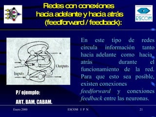 Redes con conexiones  hacia adelante y hacia atrás   (feedforward / feedback): En  este  tipo  de  redes circula información tanto hacia adelante  como  hacia  atrás  durante el funcionamiento de la red. Para que esto sea posible, existen conexiones feedforward  y conexiones  feedback  entre las neuronas. P/ ejemplo:  ART, BAM, CABAM. 