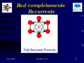 Red completamente  Recurrente 
