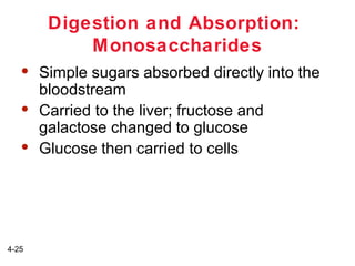 Digestion and Absorption:
Monosaccharides






4-25

Simple sugars absorbed directly into the
bloodstream
Carried to the liver; fructose and
galactose changed to glucose
Glucose then carried to cells

 