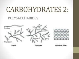 CARBOHYDRATES 2:
POLYSACCHARIDES
 