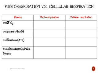 By Thanyamon Chaturavitkul 16
ลักษณะ Photorespiration Cellular respiration
การใช้ O2
การสลายสารอินทรีย์
การใช้พลังงาน(ATP)
ความต้องการแสงเพื่อดาเนิน
กิจกรรม
 