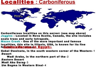 Carboniferous:Localities
Carboniferous localities on this server: (see map above)
Joggins - Located in Nova Scotia, Canada, the site includes
scale trees and early tetrapods.
Mazon Creek - One of the more important and famous
localities, this site in Illinois, USA, is known for its fine
fossils in concretions. Carboniferous in Egypt:-
1-Gebel Oweinate, in the south western corner of the Western
Desert.
2-Wadi Araba, in the northern part of the
Eastern Desert.
3-Wadi Abu Darag.
4-Um Bogma in Western Sinai.
 
