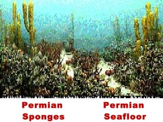  Permian
Sponges
 Permian
Seafloor
 