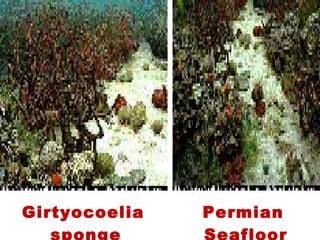  Girtyocoelia  Permian
 