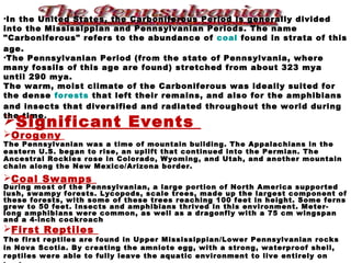•In the United States, the Carboniferous Period is generally divided
into the Mississippian and Pennsylvanian Periods. The name
"Carboniferous" refers to the abundance of coal found in strata of this
age.
•The Pennsylvanian Period (from the state of Pennsylvania, where
many fossils of this age are found) stretched from about 323 mya
until 290 mya.
The warm, moist climate of the Carboniferous was ideally suited for
the dense forests that left their remains, and also for the amphibians
and insects that diversified and radiated throughout the world during
the time.
Significant Events
Orogeny
The Pennsylvanian was a time of mountain building. The Appalachians in the
eastern U.S. began to rise, an uplift that continued into the Permian. The
Ancestral Rockies rose in Colorado, Wyoming, and Utah, and another mountain
chain along the New Mexico/Arizona border.
Coal Swamps
During most of the Pennsylvanian, a large portion of North America supported
lush, swampy forests. Lycopods, scale trees, made up the largest component of
these forests, with some of these trees reaching 100 feet in height. Some ferns
grew to 50 feet. Insects and amphibians thrived in this environment. Meter-
long amphibians were common, as well as a dragonfly with a 75 cm wingspan
and a 4-inch cockroach
First Reptiles
The first reptiles are found in Upper Mississippian/Lower Pennsylvanian rocks
in Nova Scotia. By creating the amniote egg, with a strong, waterproof shell,
reptiles were able to fully leave the aquatic environment to live entirely on
 