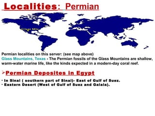 Permian:Localities
Permian localities on this server: (see map above)
Glass Mountains, Texas - The Permian fossils of the Glass Mountains are shallow,
warm-water marine life, like the kinds expected in a modern-day coral reef.
Permian Deposites in Egypt
• In Sinai ( southern part of Sinai)- East of Gulf of Suez.
• Eastern Desert (West of Gulf of Suez and Galala).
 