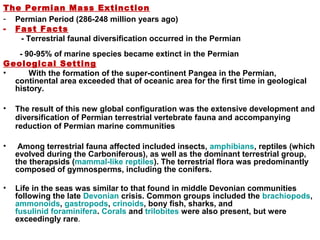 The Permian Mass Extinction
- Permian Period (286-248 million years ago)
- Fast Facts
- Terrestrial faunal diversification occurred in the Permian
- 90-95% of marine species became extinct in the Permian
Geological Setting
• With the formation of the super-continent Pangea in the Permian,
continental area exceeded that of oceanic area for the first time in geological
history.
• The result of this new global configuration was the extensive development and
diversification of Permian terrestrial vertebrate fauna and accompanying
reduction of Permian marine communities
• Among terrestrial fauna affected included insects, amphibians, reptiles (which
evolved during the Carboniferous), as well as the dominant terrestrial group,
the therapsids (mammal-like reptiles). The terrestrial flora was predominantly
composed of gymnosperms, including the conifers.
• Life in the seas was similar to that found in middle Devonian communities
following the late Devonian crisis. Common groups included the brachiopods,
ammonoids, gastropods, crinoids, bony fish, sharks, and
fusulinid foraminifera. Corals and trilobites were also present, but were
exceedingly rare.
 