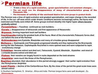 Permian life
• It was a time of a rapid evolution, great specialization and constant changes .
• The net result was the disappearance of many of characteristics group of the
Paleozoic life.
• The increase of salinity of the enclosed basins led some groups to gradual death.
The Permian was a time of rapid evolution and greatest specialization, and major change in the recorded
of life. In the cut –off seas which under drastic conditions become increasingly saline, the fauna were
restricted and finally were killed off. Some groups evolved steadily into higher types others become
gradually extinct.
-Foraminifera : Fusulines continued as rock builders.
-Corals : disappearance of tetracorals and first appearance of Hexacorals.
Bryozoa: forming important local reef builders.
Brachiopods:making the greatest bulk of the fauna. Most of the characteristic Paleozoic forms died
out before the end of the Permian.
Echinoderms:rare,Cystoids, Blastoides and many of crinoides group disappeared.
Molluscs : Gastropods and Pelecypods progressed steadily and they replaced by the Braciopods
during the late Paleozoic. Cephalopods flourished in more opened seas and were subjected to rapid
evolutionary change.
Trilobites: become extinct and died out ( Tetracorals, Cystoid, Blastoids , Grptolites and most of
crinoids became extinct and died out).
Fishes: their remains are largely found in rocks deposited on the land streams.
Amphibia: were much like those of the Pensylvanian.
Reptiles:abundant, their abundance in this period strongly suggest their earlier rapid evolution from
the Pensylvanian Amphibia.
Land Plants : decline of the Carboniferous flora. By the close of the period the great scale trees were
almost extinct.
In Southern hemisphere, S. America , Africa and India Permian tongue ferns were well developed , Ex.
 
