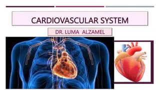 CARDIOVASCULAR SYSTEM
DR. LUMA ALZAMEL
 