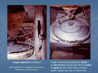 moega e pejadouro ou alavanca              O grão vai caindo gradualmente do quelho,
                                               no olho da mó provocado pelo vibrar do cadelo.
(Um simples fio, faz a ligação automática do   O registo permite inclinar mais ou menos o
       trabalhar ou não do moinho)             quelho, fazendo cair mais ou menos milho.
 