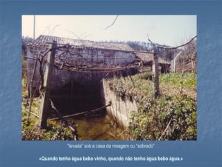 “levada” sob a casa da moagem ou “sobrado”

«Quando tenho água bebo vinho, quando não tenho água bebo água.»
 