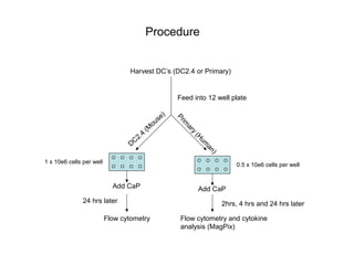 Procedure
Harvest DC’s (DC2.4 or Primary)
Feed into 12 well plate
DC2.4
(M
ouse)
Prim
ary
(H
um
an)
Add CaP Add CaP
Flow cytometry and cytokine
analysis (MagPix)
Flow cytometry
2hrs, 4 hrs and 24 hrs later24 hrs later
1 x 10e6 cells per well
0.5 x 10e6 cells per well
 