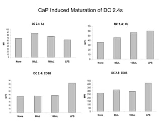 CaP Induced Maturation of DC 2.4s
DC 2.4: Ab
0
10
20
30
40
50
60
70
80
90
100
None 80uL 160uL LPS
MFI
DC 2.4: Kb
0
10
20
30
40
50
60
70
None 80uL 160uL LPS
MFI
DC 2.4: CD80
0
10
20
30
40
50
60
70
80
90
None 80uL 160uL LPS
MFI
DC 2.4: CD86
0
50
100
150
200
250
300
350
400
450
None 80uL 160uL LPS
MFI
 