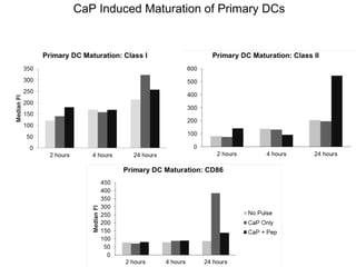 CaP Induced Maturation of Primary DCs
 