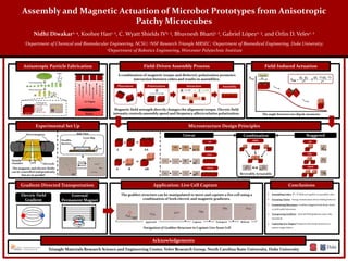 Assembly and Magnetic Actuation of Microbot Prototypes from Anisotropic
Patchy Microcubes
Nidhi Diwakar2, 4, Koohee Han1, 2, C. Wyatt Shields IV2, 3, Bhuvnesh Bharti1, 2, Gabriel López2, 3, and Orlin D. Velev1, 2
1Department of Chemical and Biomolecular Engineering, NCSU; 2NSF Research Triangle MRSEC; 3Department of Biomedical Engineering, Duke University;
4Department of Robotics Engineering, Worcester Polytechnic Institute
Field-Driven Assembly Process
Polarization
𝐇
AssemblyPlacement Attraction
𝐇 𝑬+
A combination of magnetic torque and dielectric polarization promotes
interaction between cubes and results in assemblies.
Magnetic field strength directly changes the alignment torque. Electric field
intensity controls assembly speed and frequency affects relative polarization.
Field-Induced Actuation
𝝁 𝟏 𝝁 𝟐
𝝁 𝟏 𝝁 𝟐
Eint
The angle between two dipole moments
𝐇
Field on
𝑬int =
𝝁 𝟏 ∙ 𝝁 𝟐
𝒓 𝟑
− 𝟑
𝝁 𝟏 ∙ 𝒓 𝝁 𝟐 ∙ 𝒓
𝒓 𝟓
Anisotropic Particle Fabrication
Source
Co VaporFerromagnetic
Coating [Co, Fe]
(100 nm)
Dielectric
material
[SU-8] (10 μm)
Triangle Materials Research Science and Engineering Center, Velev Research Group, North Carolina State University, Duke University
Acknowledgements
Experimental Set Up
Electrode
Electromagnets
Sample
Chamber 3 mm
H
E
20-30 μm
Paraffin
Barrier
Cover Slip
Side View
Assembly
DisassemblyThe magnetic and electric fields
can be controlled independently,
but act in parallel. 50 μm
Gradient-Directed Transportation
Electric Field
Gradient
External
Permanent Magnet
Application: Live Cell Capture
Navigation of Grabber Structure to Capture Live Yeast Cell
The grabber structure can be manipulated to move and capture a live cell using a
combination of both electric and magnetic gradients.
50 μm
Approach Capture Transport Release
Conclusions
Assembling Cubes 𝐻 + 𝐸 fields act together to assemble cubes
Actuating Chains Energy minimization drives folding behavior
Constructing Structures Combine staggered and linear chains
to yield useful structures
Transporting Grabbers External field gradients cause cube
movement
Capturing Live Targets Transport and actuate structures to
capture target objects
Microstructure Design Principles
+ =
A A AA
=+
A B AB
Linear
AAA
AAAA
AA
Staggered
20 μm
30 μm
50 μm
ABAB
ABA
AB
10 μm
Combination
ABBA
10 μm
Reversibly Actuatable
 