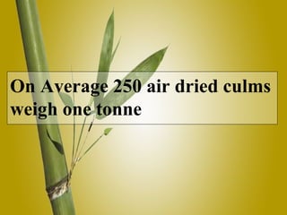 On Average 250 air dried culms
weigh one tonne
 