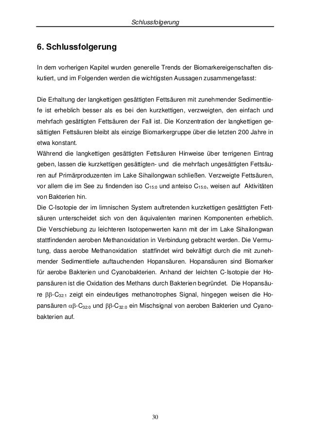 Dissertation matthias stripf 06 picture