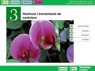 Herència i transmissió de caràcters LECTURA INICIAL ESQUEMA RECURSOS INTERNET 