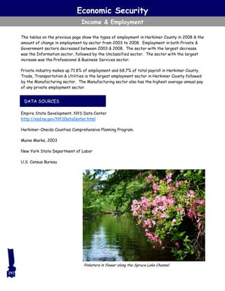 Economic Security
Income & Employment
Empire State Development, NYS Data Center
http://esd.ny.gov/NYSDataCenter.html
Herkimer-Oneida Counties Comprehensive Planning Program.
Maine Marks, 2003
New York State Department of Labor
U.S. Census Bureau
DATA SOURCES
292
Pinksters in flower along the Spruce Lake Channel
The tables on the previous page show the types of employment in Herkimer County in 2008 & the
amount of change in employment by sector from 2003 to 2008. Employment in both Private &
Government sectors decreased between 2003 & 2008. The sector with the largest decrease
was the Information sector, followed by the Unclassified sector. The sector with the largest
increase was the Professional & Business Services sector.
Private industry makes up 71.8% of employment and 68.7% of total payroll in Herkimer County.
Trade, Transportation & Utilities is the largest employment sector in Herkimer County followed
by the Manufacturing sector. The Manufacturing sector also has the highest average annual pay
of any private employment sector.
 