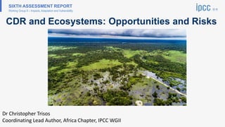 SIXTH ASSESSMENT REPORT
Working Group II – Impacts, Adaptation and Vulnerability
CDR and Ecosystems: Opportunities and Risks
Dr Christopher Trisos
Coordinating Lead Author, Africa Chapter, IPCC WGII
 