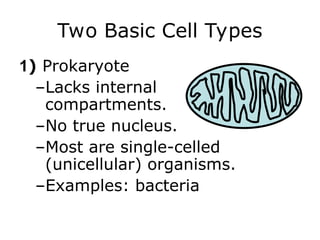 342tg7d627gdb81ywsdq8dqy83CELL STRUCTURE FUNCTION.ppt