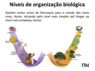 Existem certos níveis de hierarquia para o estudo dos seres
vivos. Assim, iniciando pelo nível mais simples até chegar ao
nível mais complexo, temos:
Níveis de organização biológica
FIM
 