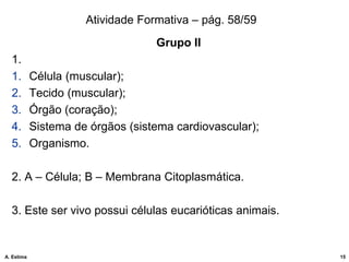 Atividade Formativa – pág. 58/59
Grupo II
1.
1. Célula (muscular);
2. Tecido (muscular);
3. Órgão (coração);
4. Sistema de órgãos (sistema cardiovascular);
5. Organismo.
2. A – Célula; B – Membrana Citoplasmática.
3. Este ser vivo possui células eucarióticas animais.
15
A. Estima
 
