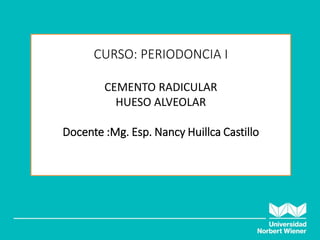 Mg. Nancy Estefania Huillca Castillo
CURSO: PERIODONCIA I
CEMENTO RADICULAR
HUESO ALVEOLAR
Docente :Mg. Esp. Nancy Huillca Castillo
 