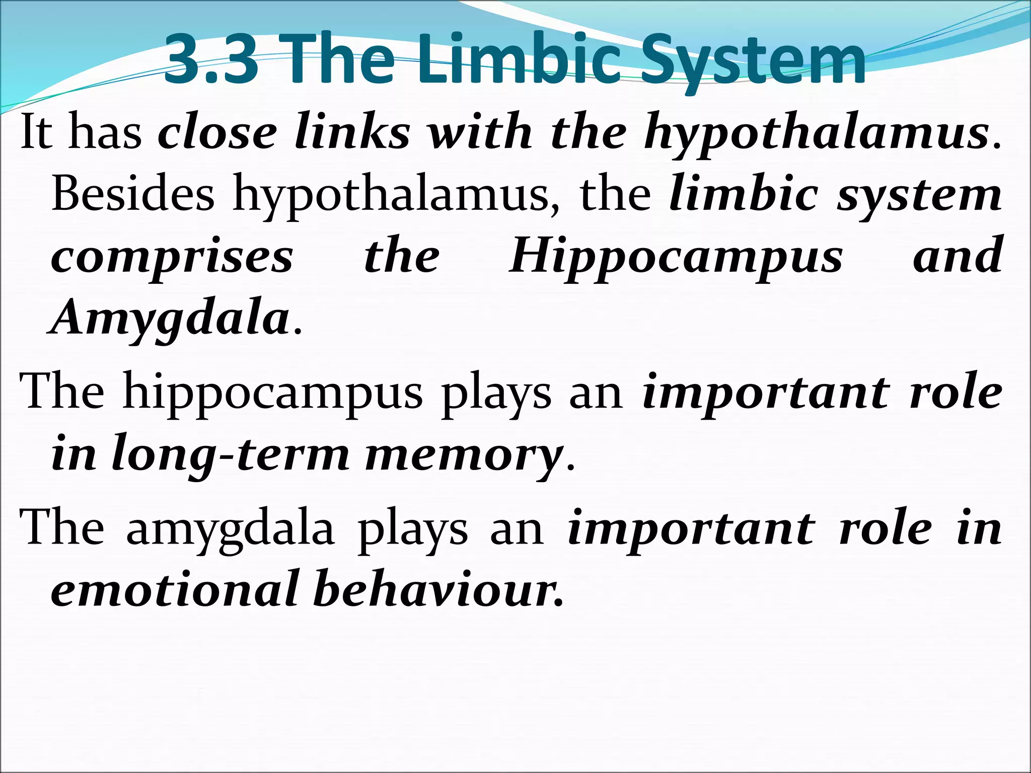 3.3 The Limbic System
It has close links with the hypothalamus.
Besides hypothalamus, the limbic system
comprises the Hippocampus and
Amygdala.
The hippocampus plays an important role
in long-term memory.
The amygdala plays an important role in
emotional behaviour.
 