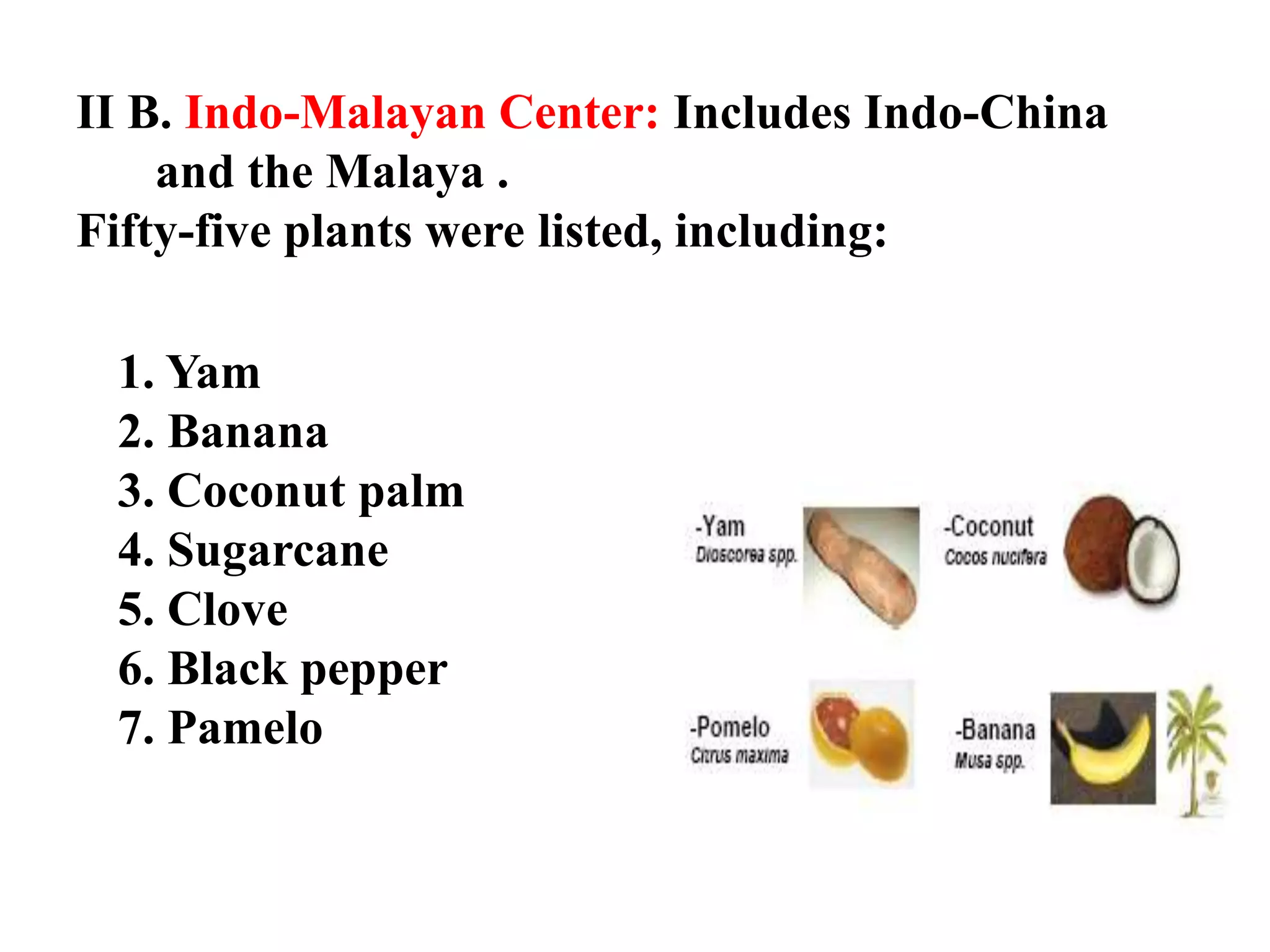 II B. Indo-Malayan Center: Includes Indo-China
and the Malaya .
Fifty-five plants were listed, including:
1. Yam
2. Banana
3. Coconut palm
4. Sugarcane
5. Clove
6. Black pepper
7. Pamelo
 