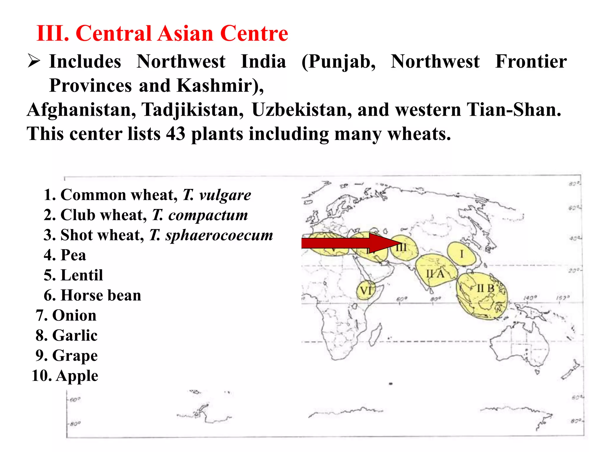  Includes Northwest India (Punjab, Northwest Frontier
Provinces and Kashmir),
Afghanistan, Tadjikistan, Uzbekistan, and western Tian-Shan.
This center lists 43 plants including many wheats.
1. Common wheat, T. vulgare
2. Club wheat, T. compactum
3. Shot wheat, T. sphaerocoecum
4. Pea
5. Lentil
6. Horse bean
7. Onion
8. Garlic
9. Grape
10. Apple
III. Central Asian Centre
 