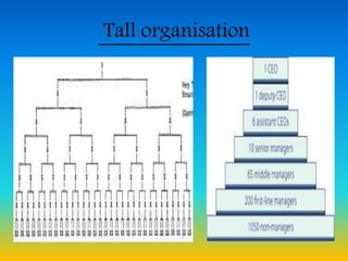 Tall organisation
 