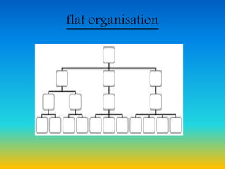 flat organisation
 