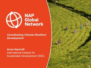 Coordinating Climate-Resilient
Development
Anne Hammill
International Institute for
Sustainable Development (IISD)
 