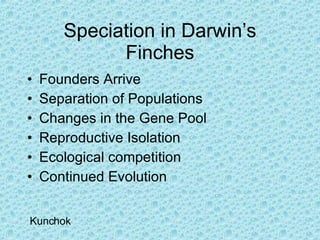 Speciation in Darwin’s Finches Founders Arrive Separation of Populations Changes in the Gene Pool Reproductive Isolation Ecological competition Continued Evolution Kunchok