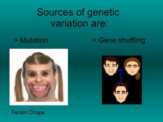 Sources of genetic variation are: > Mutation > Gene shuffling Tenzin Chopa