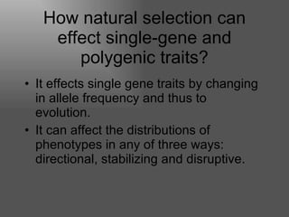 How natural selection can effect single-gene and polygenic traits? It effects single gene traits by changing in allele frequency and thus to evolution. It can affect the distributions of phenotypes in any of three ways: directional, stabilizing and disruptive.