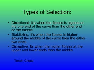 Types of Selection: Directional: It’s when the fitness is highest at the one end of the curve than the other end or the middle. Stabilizing: It’s when the fitness is higher around the middle of the curve then the either two ends. Disruptive: Its when the higher fitness at the upper and lower ends than the middle. Tenzin Chopa
