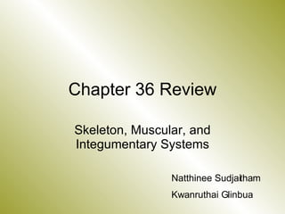 Chapter 36 Review Skeleton, Muscular, and Integumentary Systems Natthinee Sudjaitham Kwanruthai Glinbua 