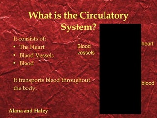 What is the Circulatory System? It consists of: The Heart Blood Vessels Blood It transports blood throughout the body. heart Blood vessels blood Alana and Haley