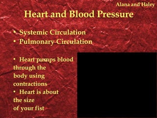 Heart and Blood Pressure Systemic Circulation Pulmonary Circulation Heart pumps blood through the body using contractions Heart is about the size of your fist Alana and Haley
