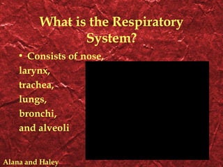 What is the Respiratory System? Consists of nose, larynx, trachea, lungs, bronchi, and alveoli Alana and Haley