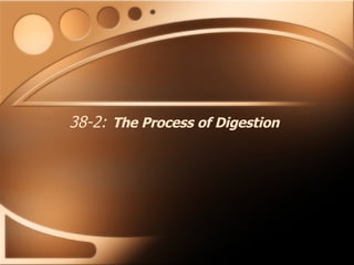 38-2:   The Process of Digestion 