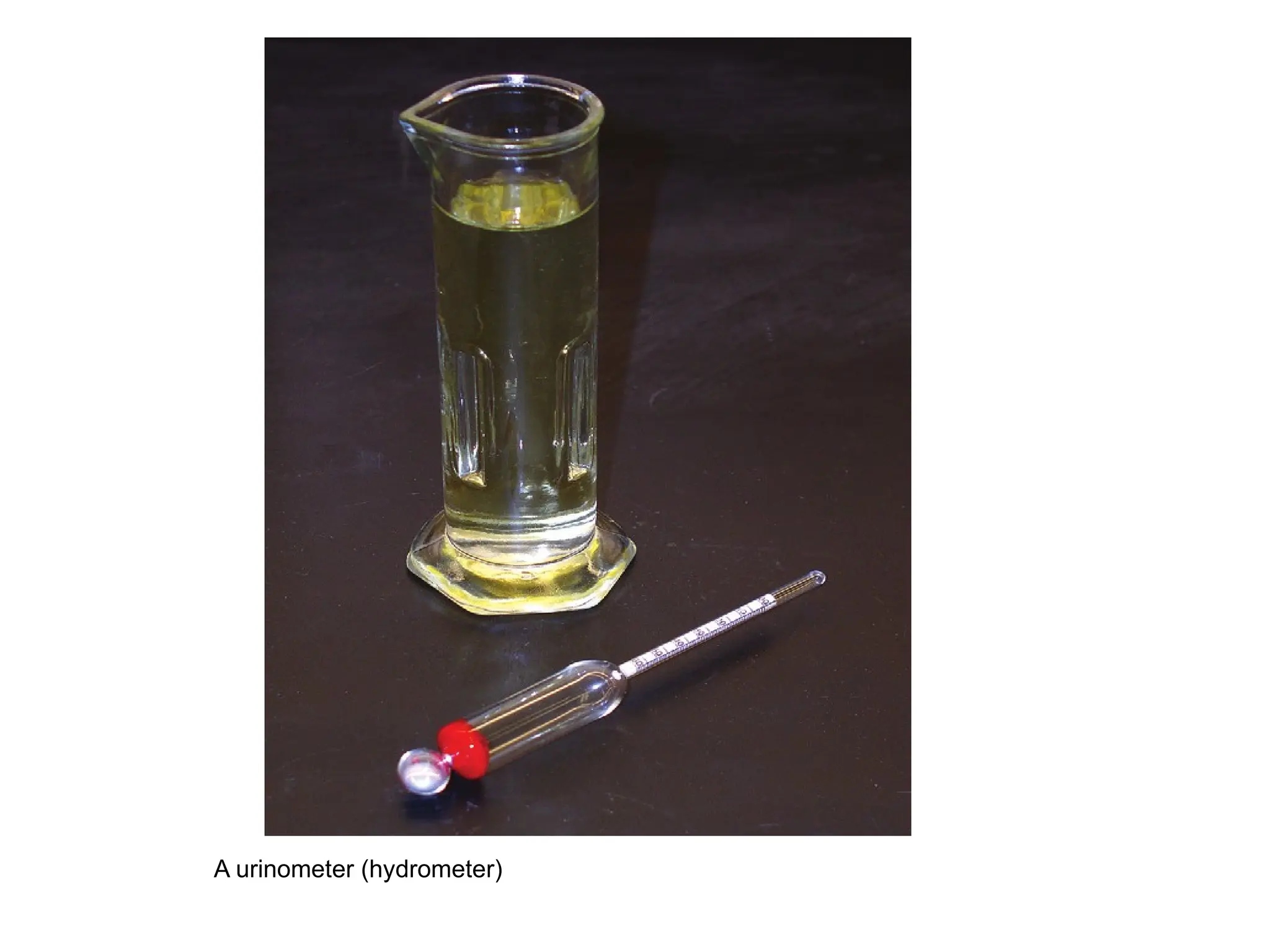 A urinometer (hydrometer)
 